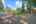 Blurred preview of media: DSC09461