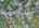 Blurred preview of media: DJI_20250908130614_0185_D_6_D_7_D_easyHDR