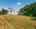 Blurred preview of media: 850_0842