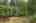 Blurred preview of media: 260159-32a