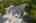 Blurred preview of media: DJI_0779
