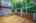 Blurred preview of media: IMG_1763