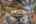 Blurred preview of media: 129MorrisSt-10