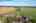 Blurred preview of media: DJI_0220-arrow