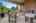 Blurred preview of media: 31