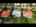 Blurred preview of media: Unknown media
