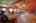 Blurred preview of media: IMG_1972_3_4
