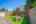 Blurred preview of media: DSC08891