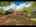 Blurred preview of media: Unknown media