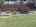 Blurred preview of media: IMG_8940