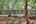 Blurred preview of media: IMG_3282_3_4_easyHDR