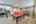 Blurred preview of media: 29