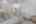Blurred preview of media: 6V8A8613