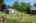 Blurred preview of media: 828 Exteriors-131