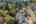Blurred preview of media: 1-54
