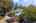 Blurred preview of media: 1-56