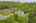 Blurred preview of media: DJI_0788