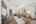 Blurred preview of media: DSC09716