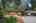 Blurred preview of media: 1-2
