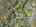 Blurred preview of media: Sky Tour-46