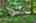 Blurred preview of media: IMG_0898_899_900_easyHDR