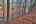 Blurred preview of media: IMG_0713_4_5_easyHDR