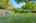 Blurred preview of media: 260190-31a