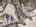Blurred preview of media: DJI_20250127141904_0140_D_1_D_2_D_easyHDR