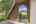 Blurred preview of media: 37 Fir (5)