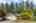 Blurred preview of media: 1-2