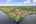 Blurred preview of media: DJI_0969