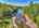 Blurred preview of media: DJI_20250802143748_0604_D_5_D_6_D_easyHDR