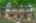 Blurred preview of media: 01