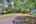 Blurred preview of media: IMG_3267_8_9_easyHDR