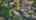 Blurred preview of media: 1379 Nonchalant Dr-70
