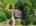 Blurred preview of media: DJI_0158