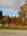 Blurred preview of media: IMG_0935