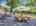 Blurred preview of media: Image Sep 13, 2026 at 07_41_50 AM