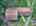 Blurred preview of media: DJI_20260829114706_0146_D_7_D_8_D_easyHDR