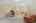 Blurred preview of media: 48 Orchard Drive Stow Massachusetts Job 39583 0044