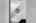 Blurred preview of media: DSC_6899