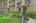 Blurred preview of media: DSC06558