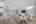 Blurred preview of media: DSC_8489