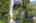 Blurred preview of media: iPixx_10_20