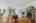 Blurred preview of media: 260159-18