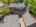 Blurred preview of media: 260140D-04
