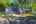 Blurred preview of media: 081A0133-Edit