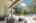 Blurred preview of media: DSC07250