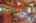 Blurred preview of media: IMG_4484_5_6