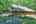 Blurred preview of media: IMG_0535_6_7_easyHDR